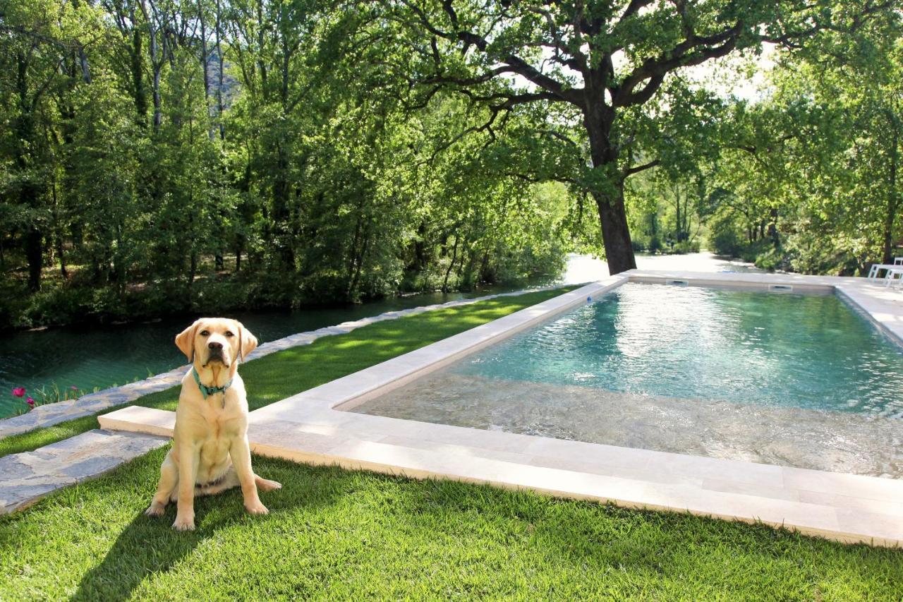 La Magnanerie d'Hôtes ,le jardin secret Sauve Exterior foto