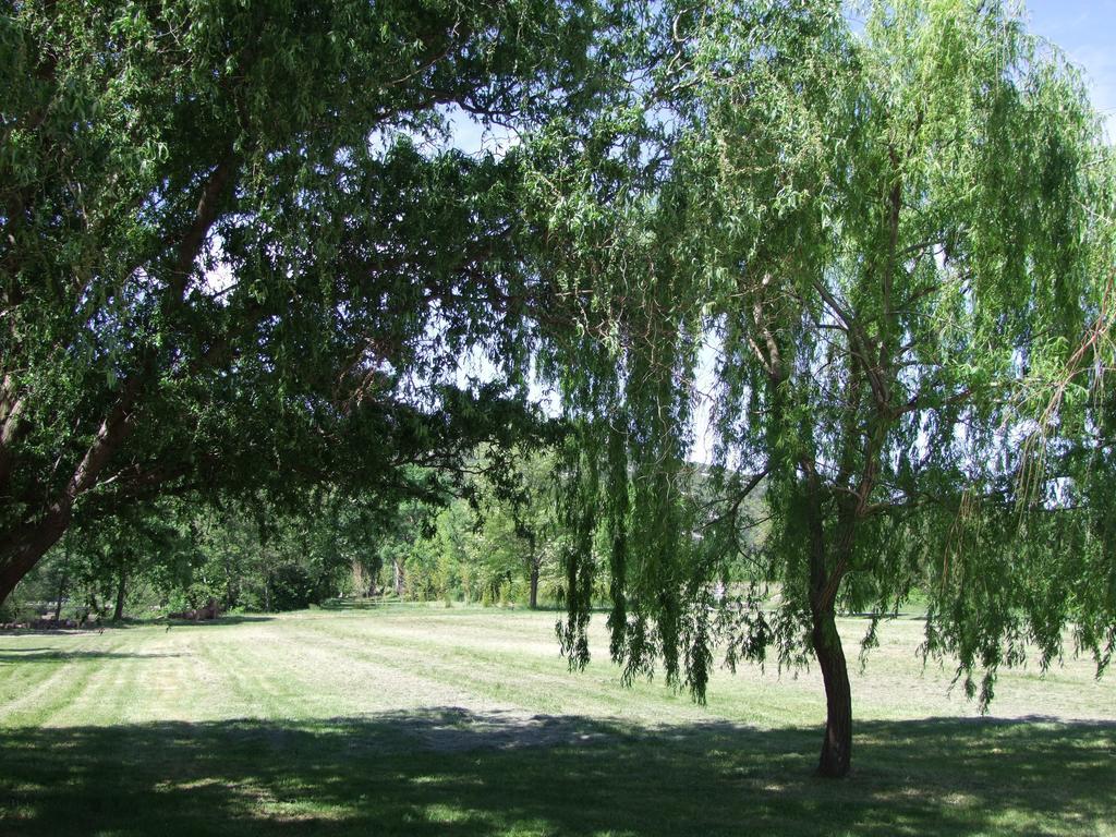 La Magnanerie d'Hôtes ,le jardin secret Sauve Exterior foto